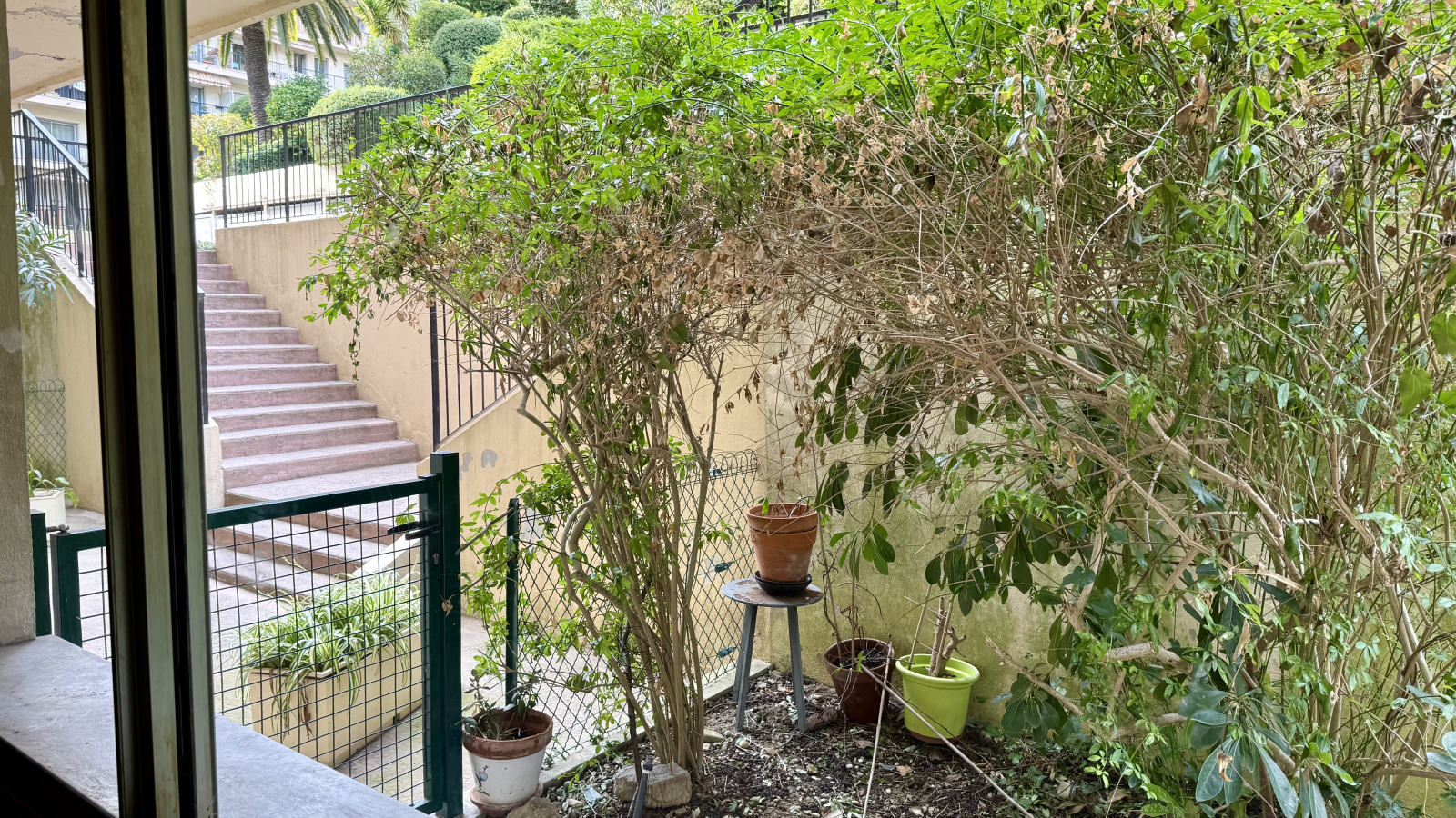 Image_, Appartement, Nice, ref :V1483