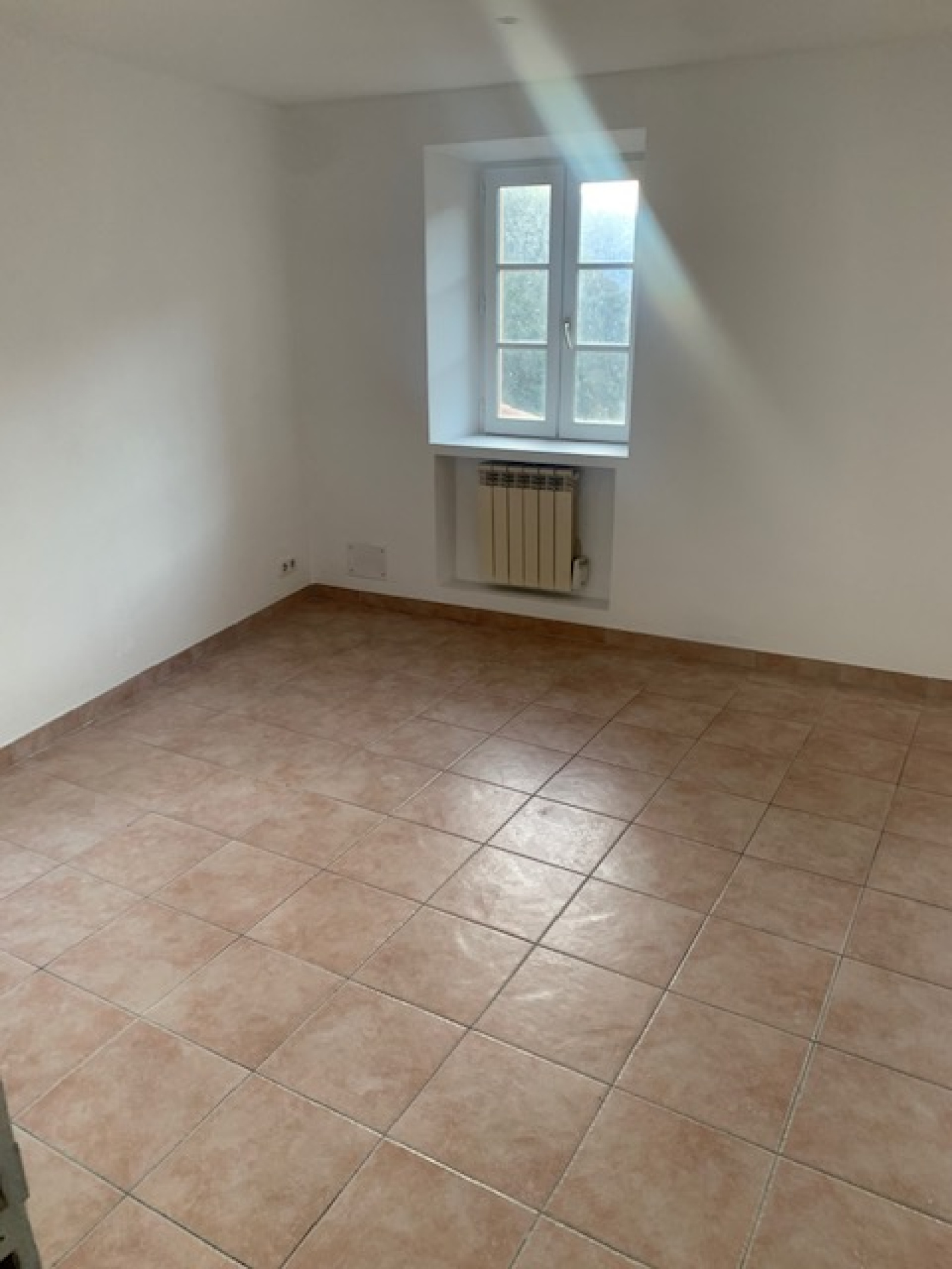 Image_, Maison de village, Lantosque, ref :LOCDBORRIGLIONNE4PLANTOSQUE