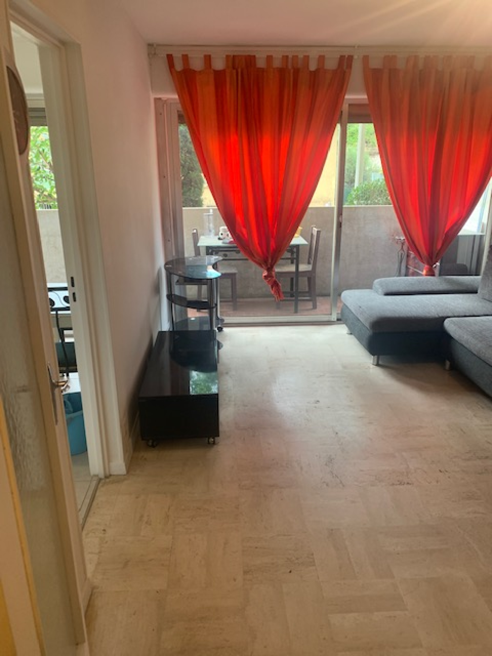 Image_, Appartement, Nice, ref :LOCF1MONTBORON-1