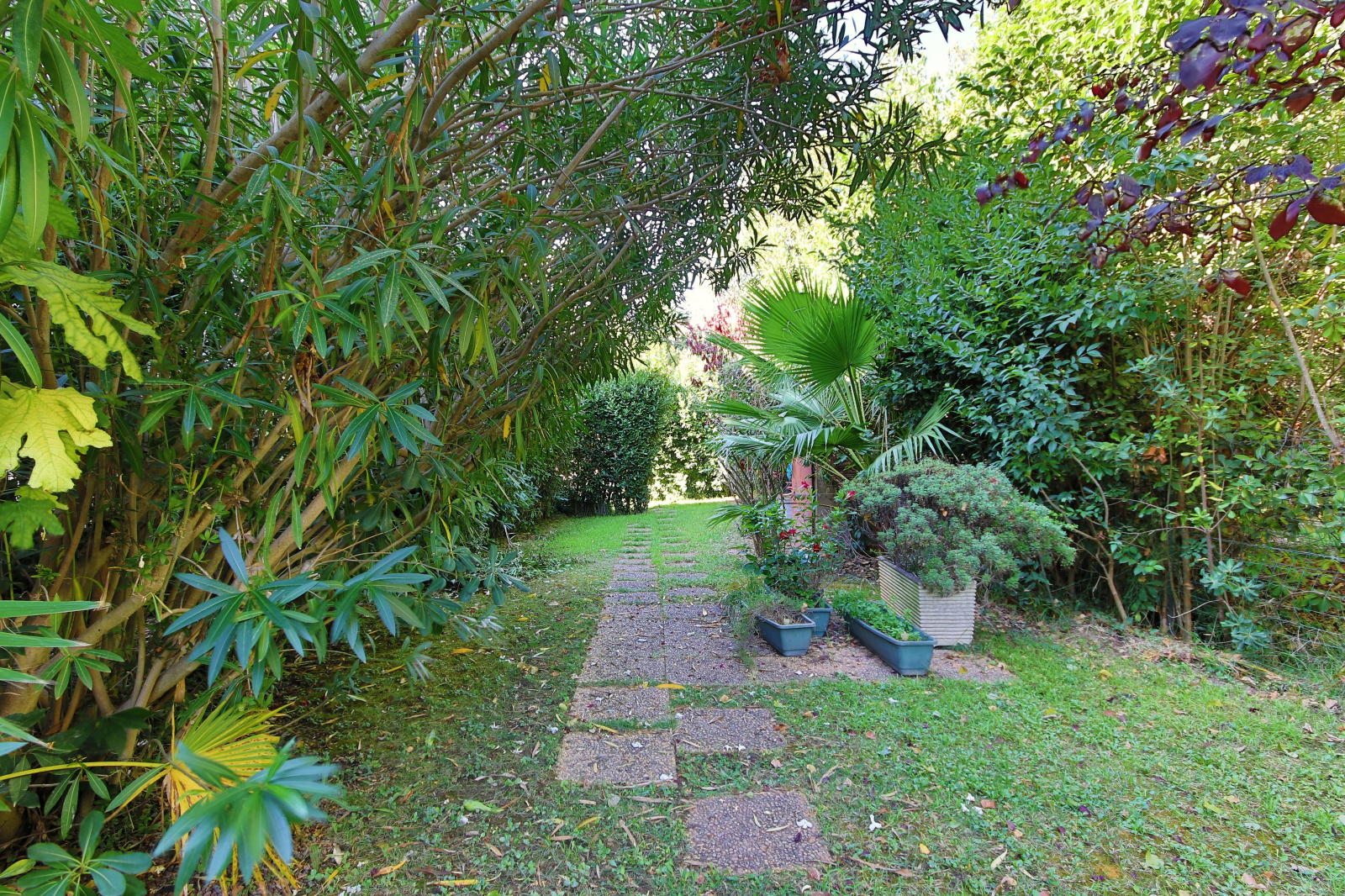 Image_, Rez de jardin, Cannes, ref :1019